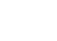 LVI Global Credential